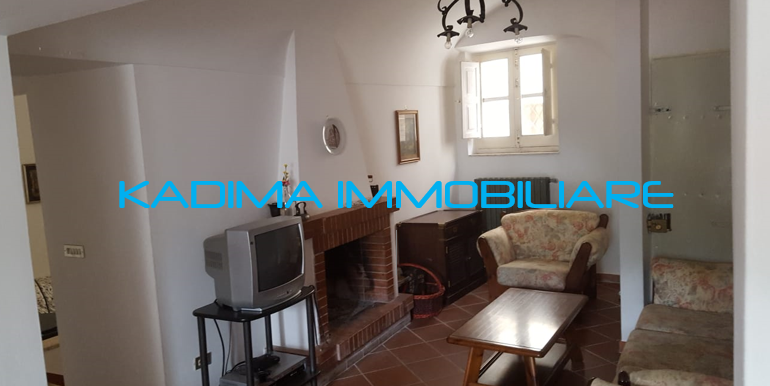 FOTO15